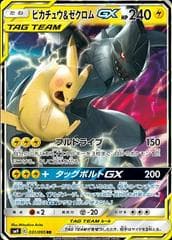 Pikachu & Zekrom GX #31