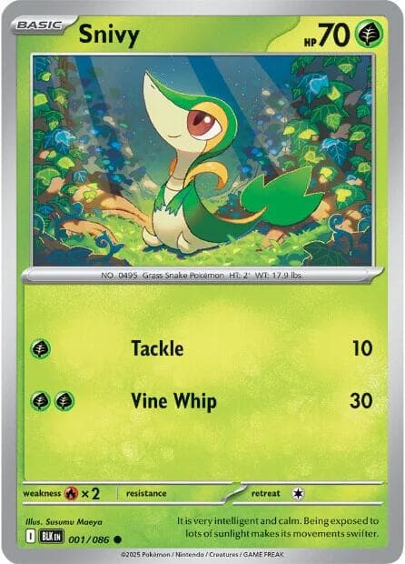 Snivy #1 — Pokemon Black Bolt