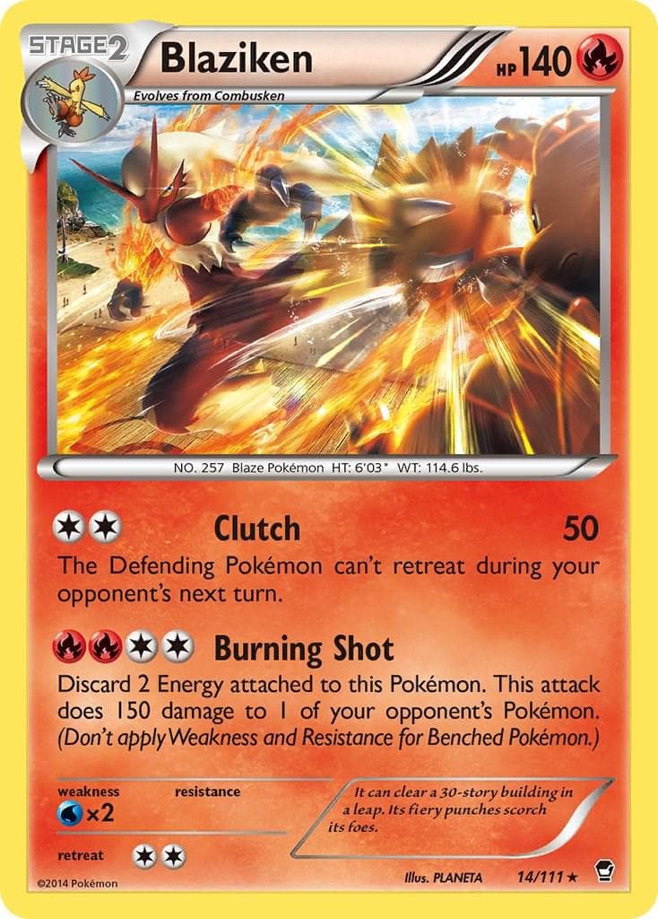 Blaziken #14 — Pokemon Furious Fists