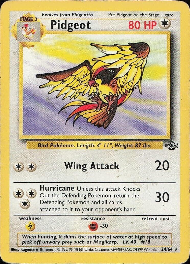 Pidgeot #24 — Pokemon Jungle