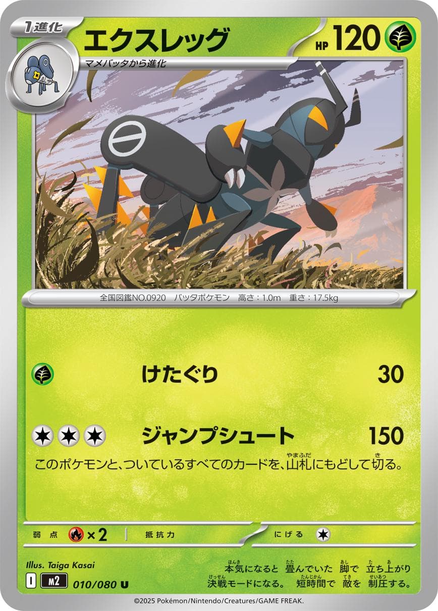 Lokix #10 — Pokemon Japanese Inferno X