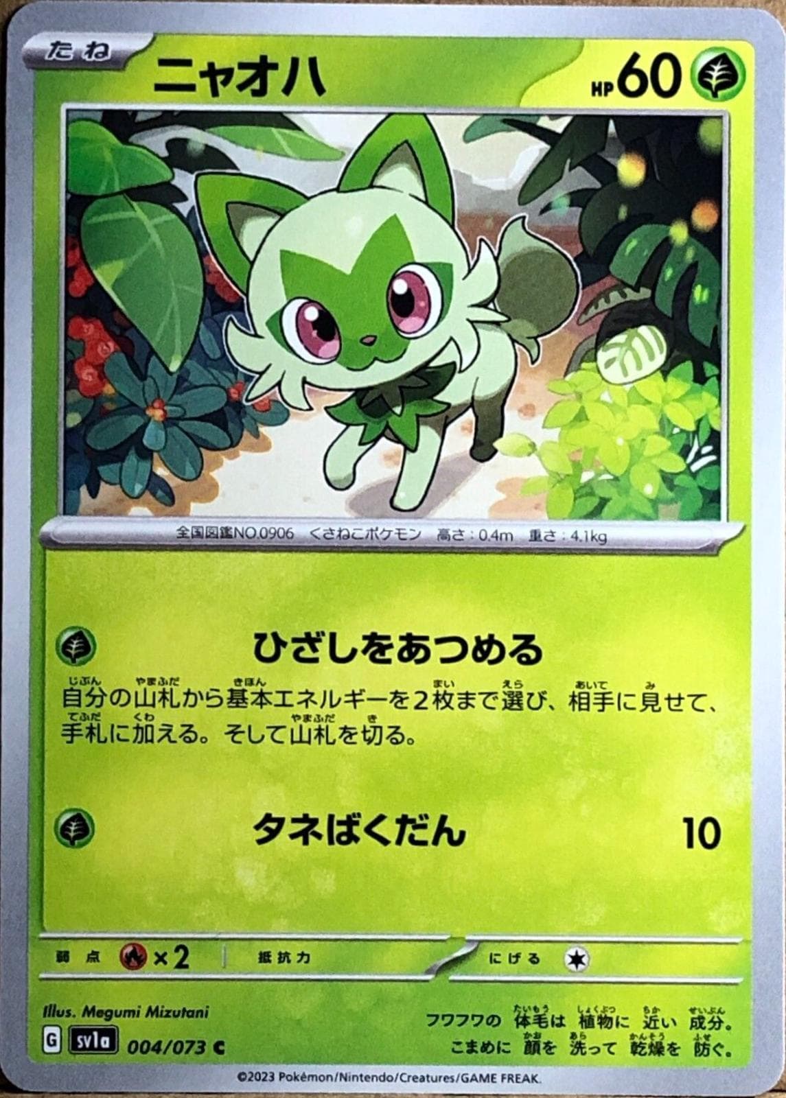 Sprigatito #4 — Pokemon Japanese Triplet Beat