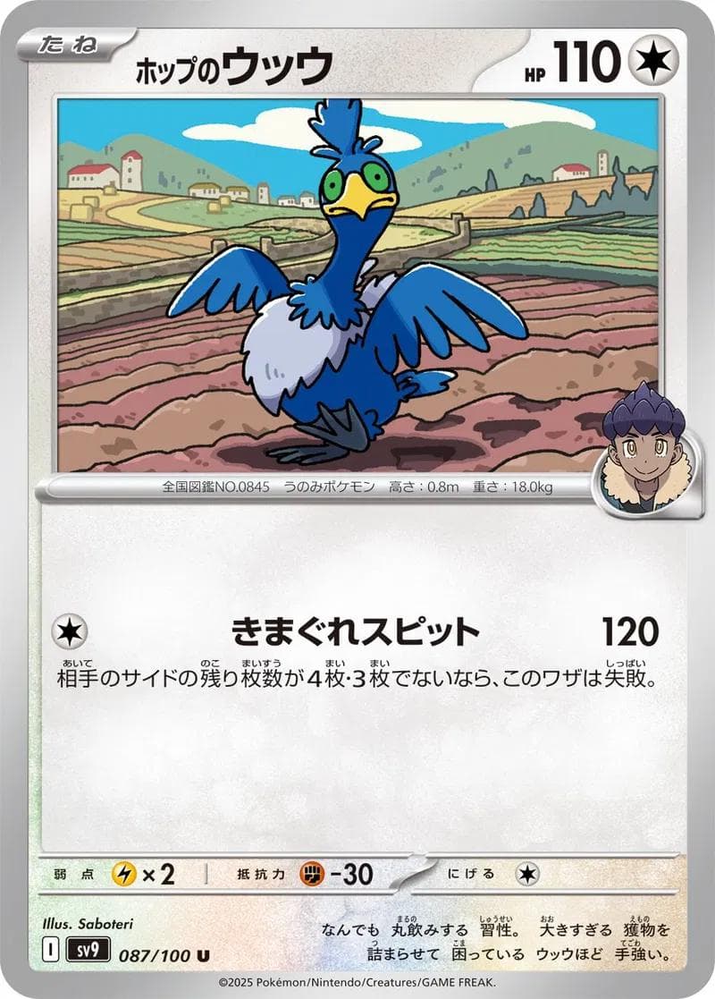Hop's Cramorant #87 — Pokemon Japanese Battle Partners